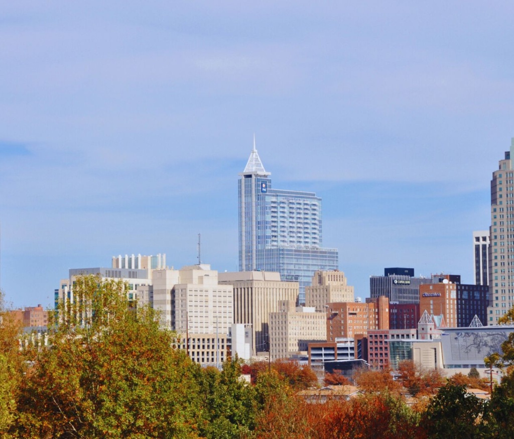 Raleigh skyline, Wake County, NC