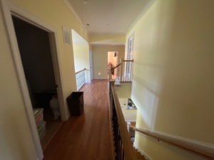 Homeowner reviewing paint color options with a professional painter