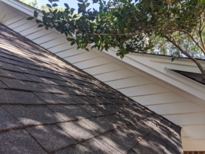 Raleigh home exterior prepared for painting during the best season