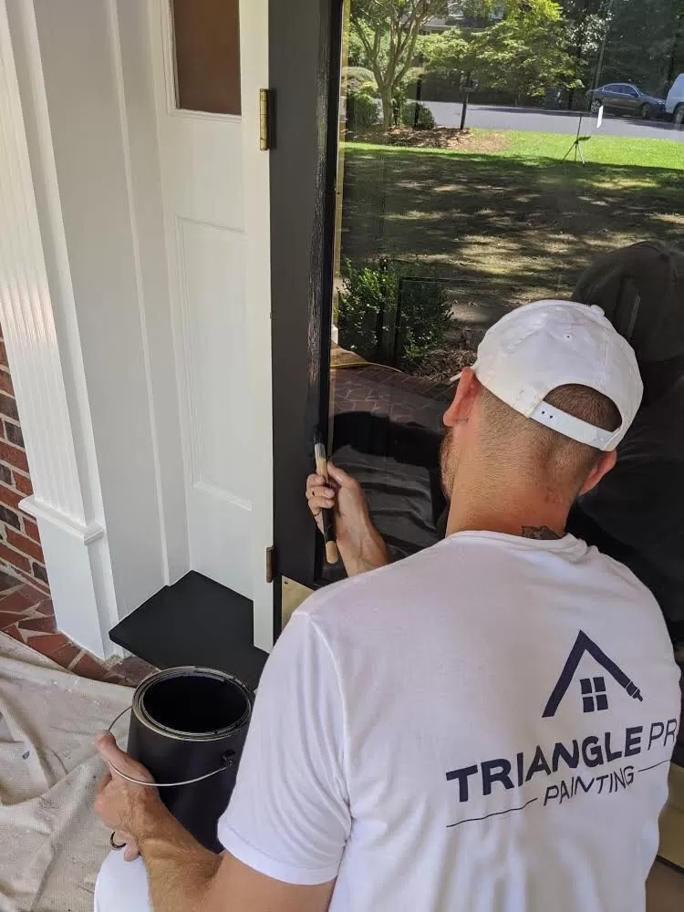 Triangle Pro Painting 1809
