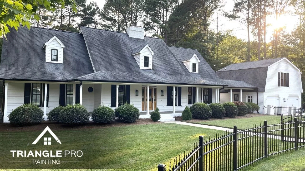 This is an image of a house painted with white paint.